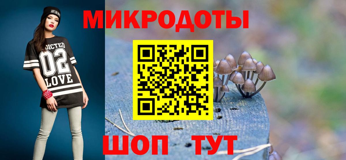 Янаул  Галлюциногенные грибы Psilocybine cubensis  Вход с VPN 